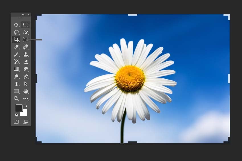 how to activate the Crop tool in Photoshop